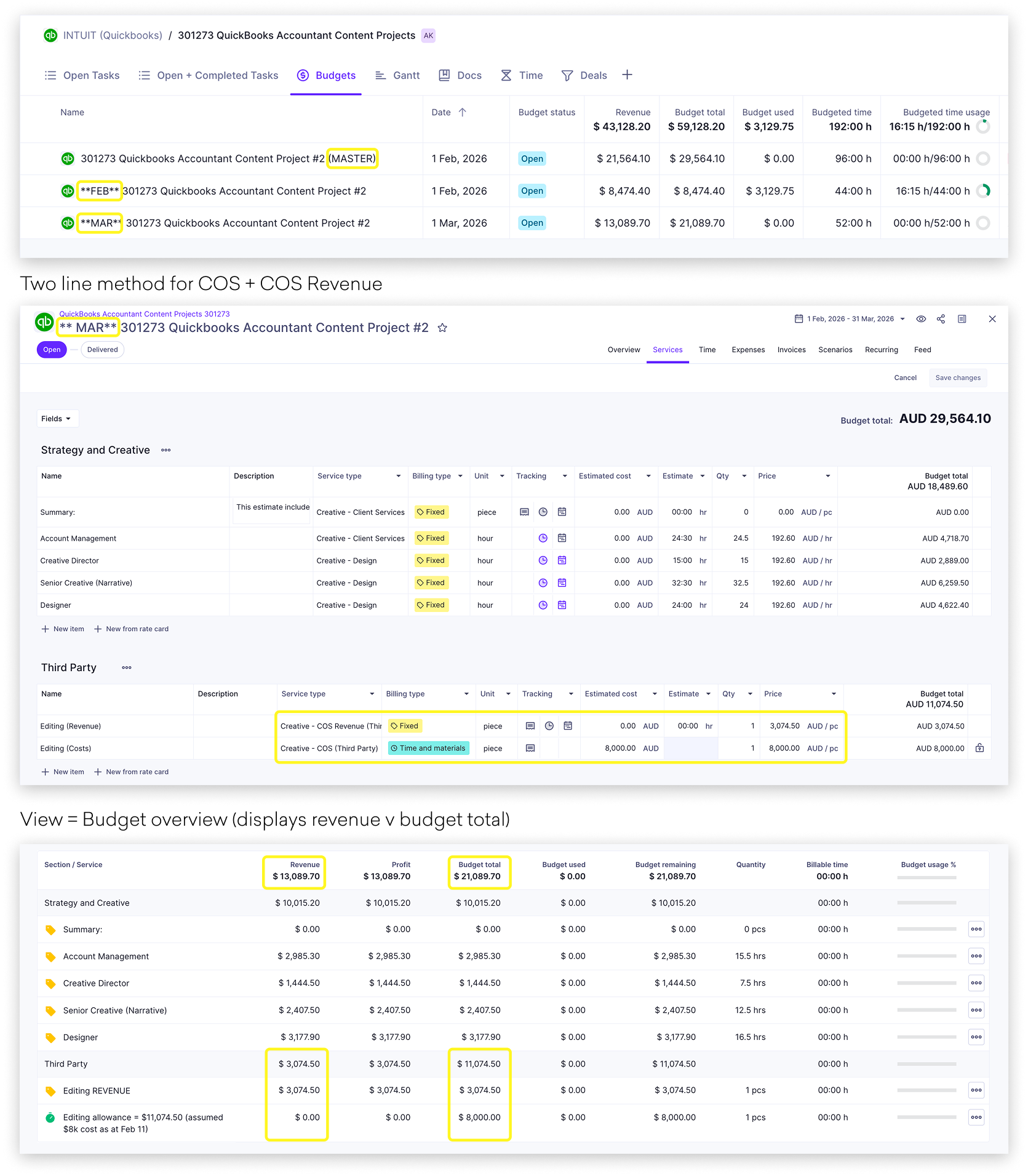 Third party costs budget example